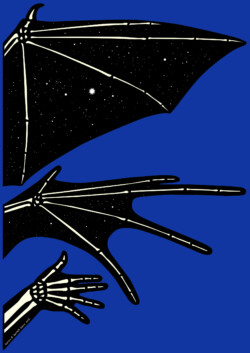 digital (Smithsonian Tropical Research Institute)