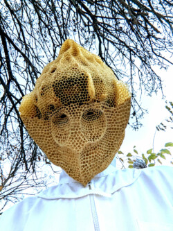 honeycomb (top half), papier mache (bottom half), recycled bicycle helmet