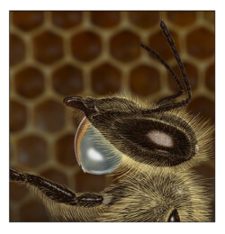 pencil/digital (Seeley 2023)