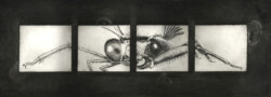 copper etching