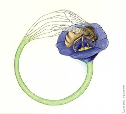 color pencil