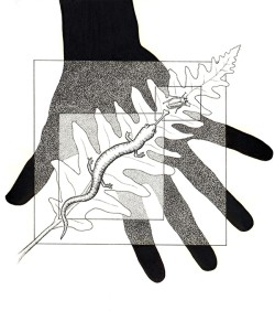 ink